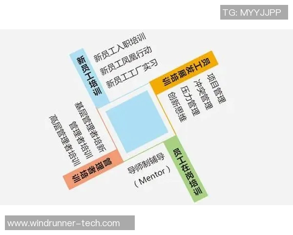 深圳排球队比赛经验分析与表现评估的深度研究与探讨