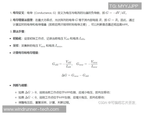 武汉极限运动队的控制策略与挑战分析及其对运动表现的影响