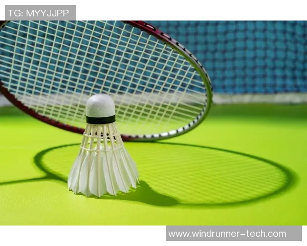 南京羽毛球队防反战术深度分析与实战应用探讨 南京羽毛球队防反战术深度分析与实战应用探讨