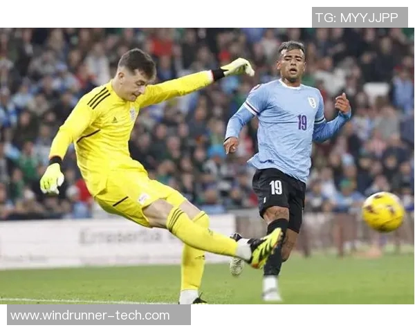 比利时与丹麦之战乌龙球引发热议赛场意外成焦点